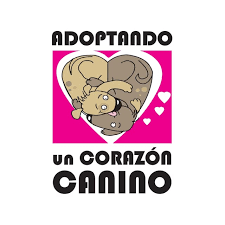 Adoptando un corazón canino