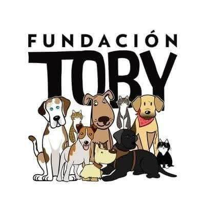 Fundación Toby